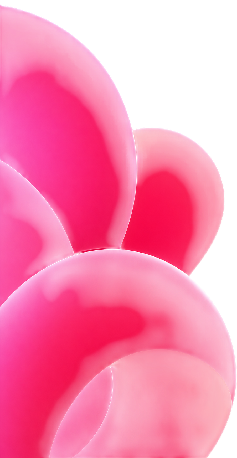 Decorative Left